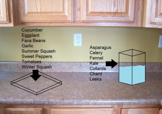 Store Vegetables and Fruits Without Plastic Bags- Countertop